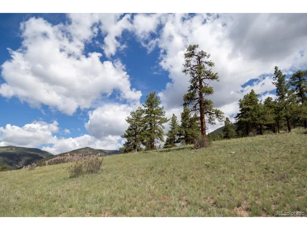 730 Cliff View Drive Creede, CO 81130