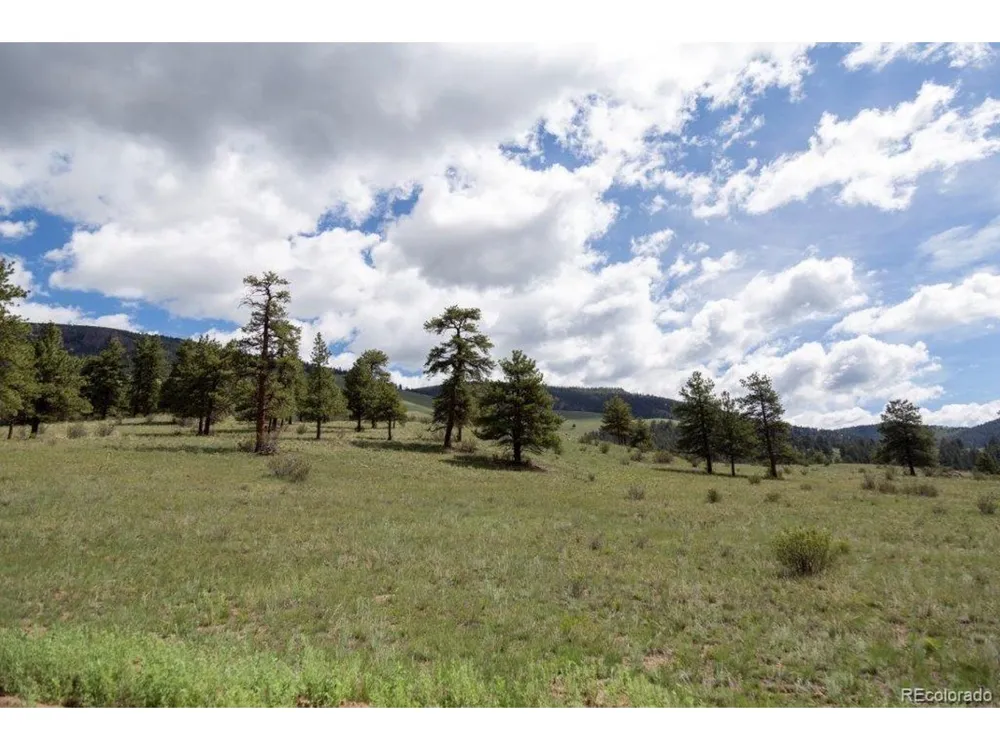 730 Cliff View Drive Creede, CO 81130