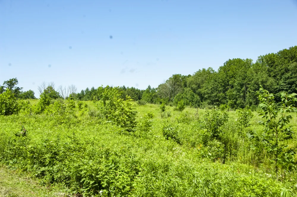 6864 Nature Lane #10 La Porte, IN 46350