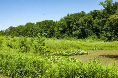6864 Nature Lane #10