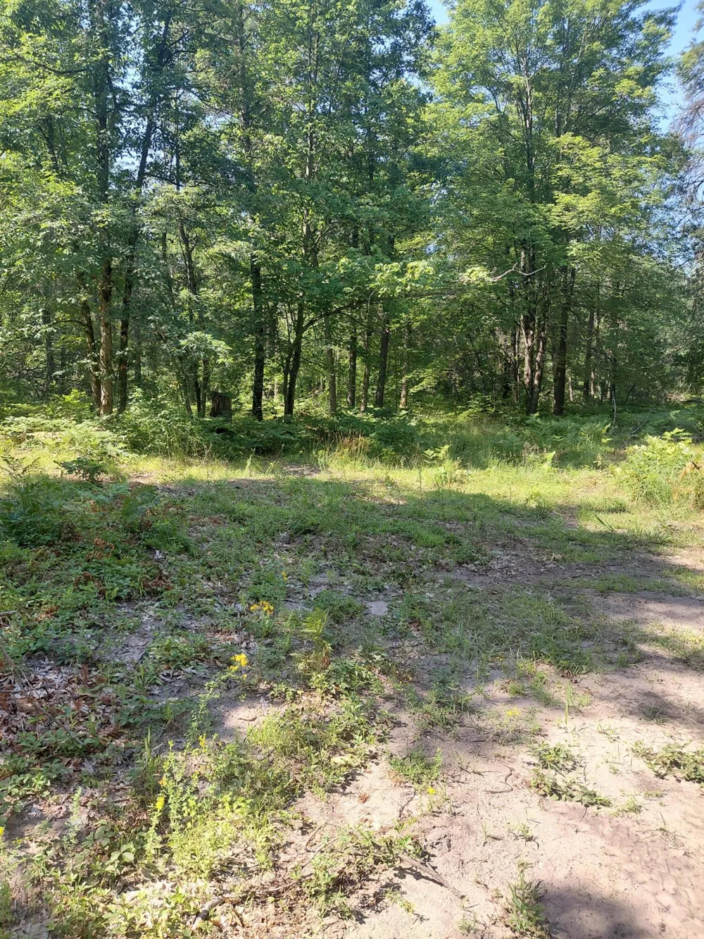 2807 S Evergreen Drive White Cloud, MI 49349
