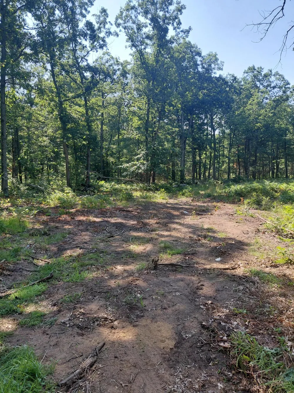 2807 S Evergreen Drive White Cloud, MI 49349