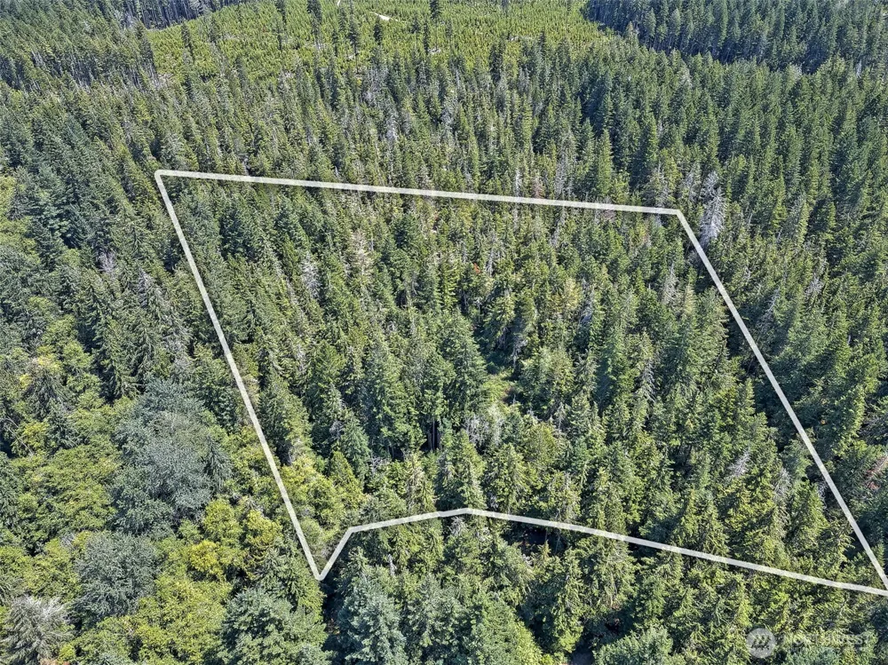 0 NE Eagle Creek Lane Tahuya, WA 98528