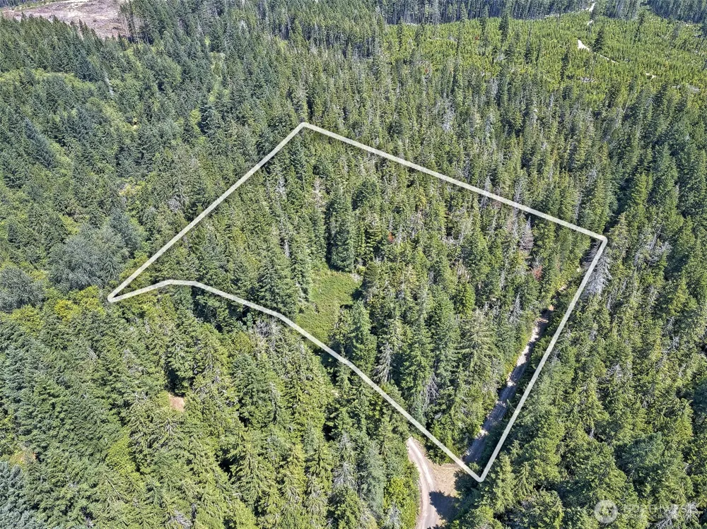 0 NE Eagle Creek Lane Tahuya, WA 98528