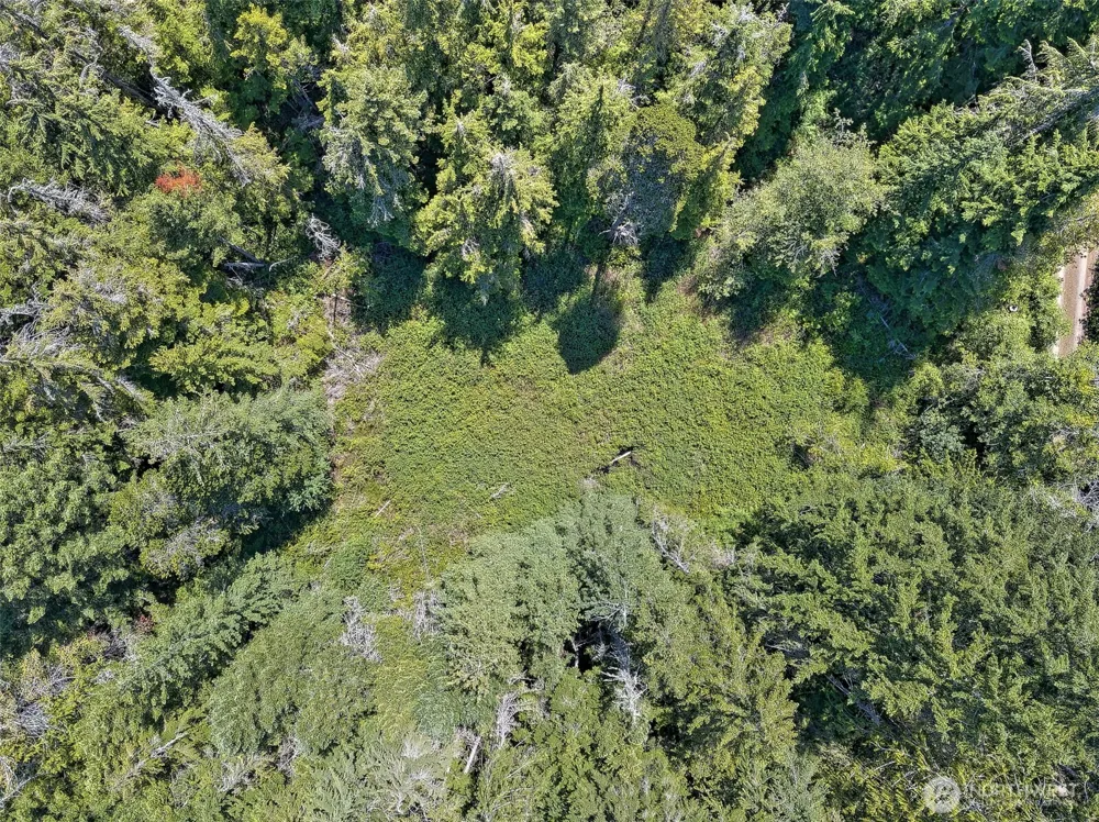 0 NE Eagle Creek Lane Tahuya, WA 98528