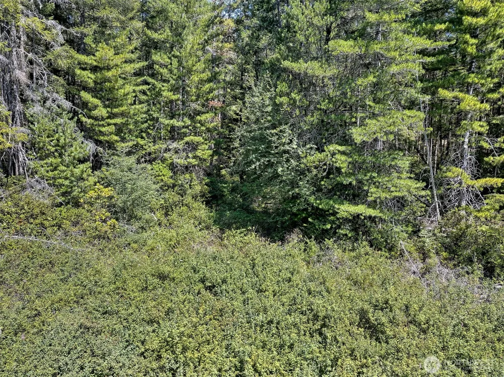 0 NE Eagle Creek Lane Tahuya, WA 98528