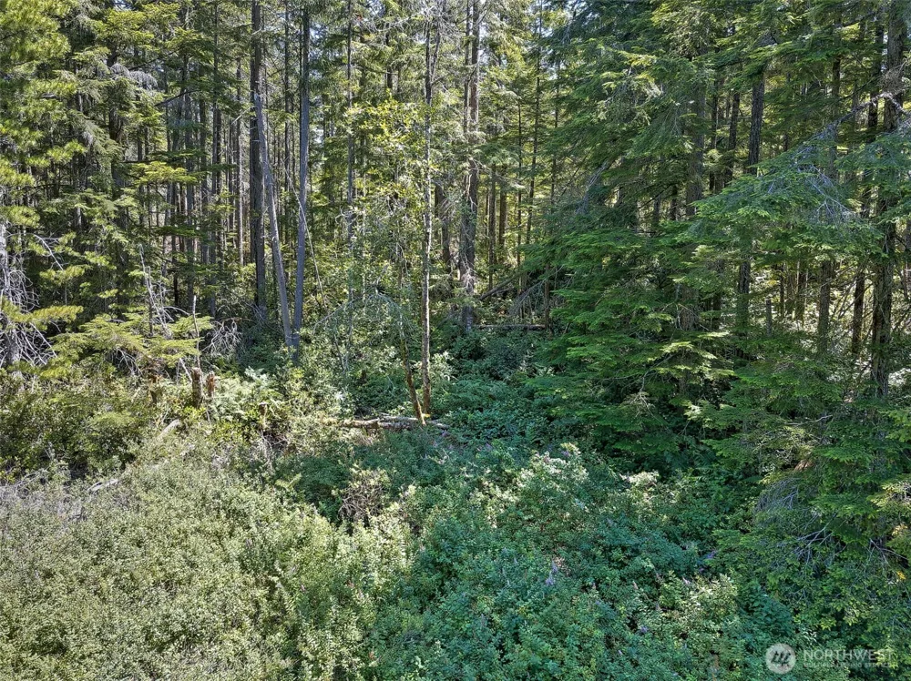 0 NE Eagle Creek Lane Tahuya, WA 98528
