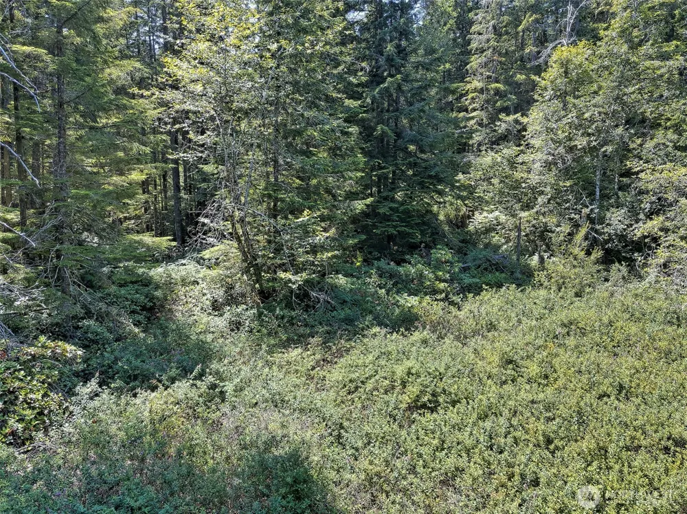 0 NE Eagle Creek Lane Tahuya, WA 98528