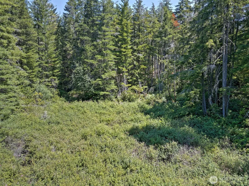 0 NE Eagle Creek Lane Tahuya, WA 98528
