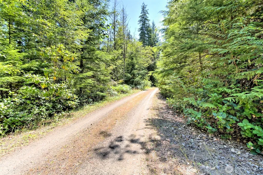 0 NE Eagle Creek Lane Tahuya, WA 98528