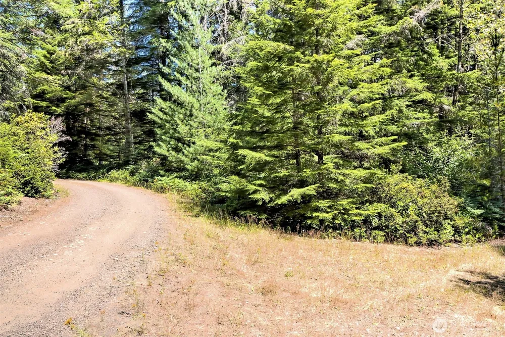 0 NE Eagle Creek Lane Tahuya, WA 98528