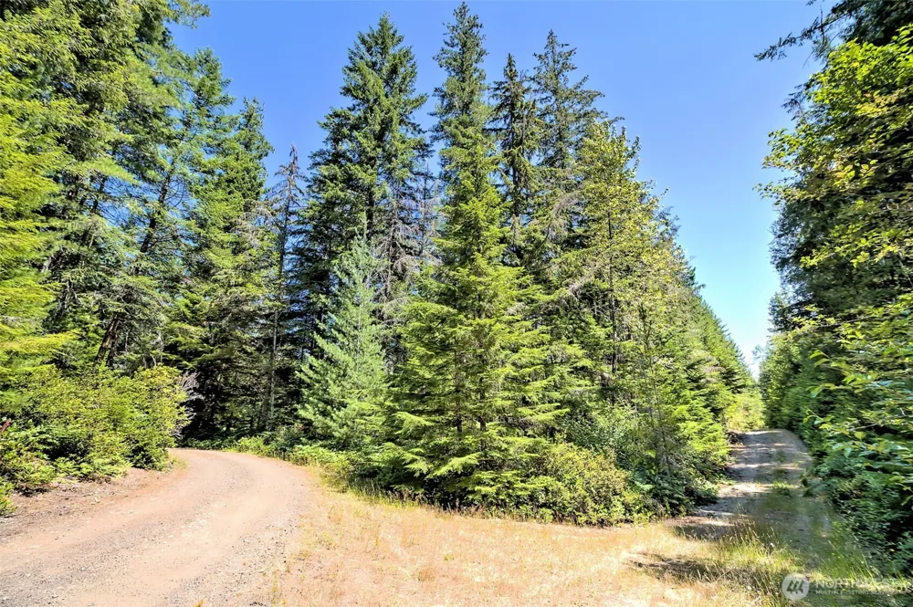 0 NE Eagle Creek Lane Tahuya, WA 98528