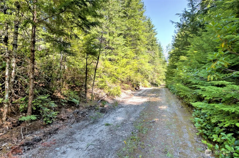 0 NE Eagle Creek Lane Tahuya, WA 98528