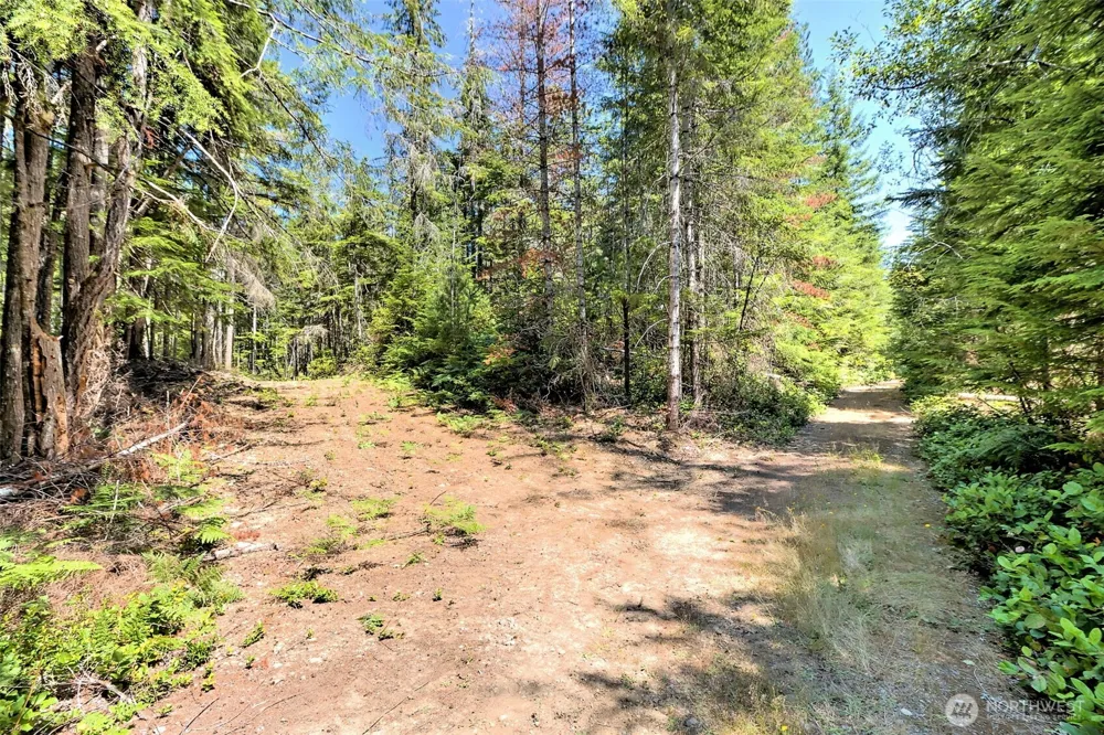 0 NE Eagle Creek Lane Tahuya, WA 98528