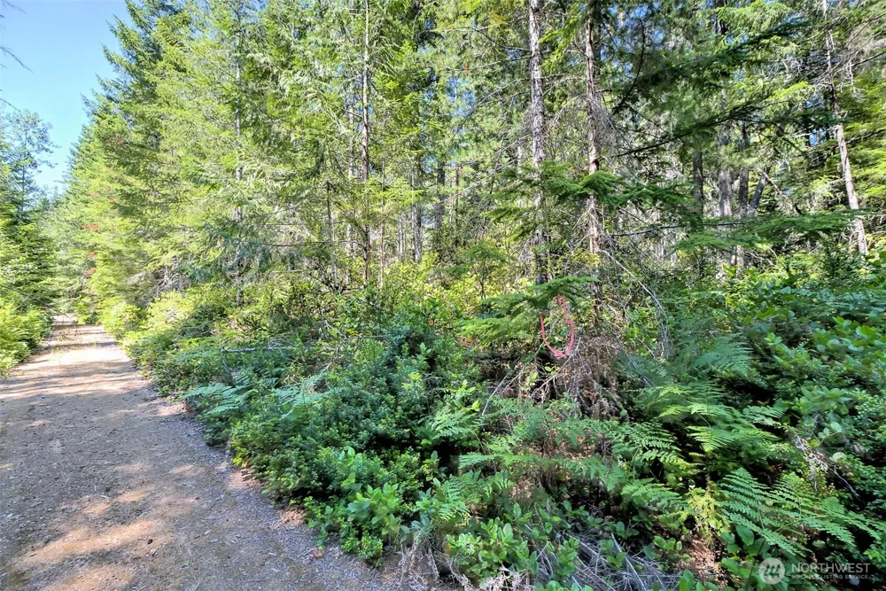 0 NE Eagle Creek Lane Tahuya, WA 98528