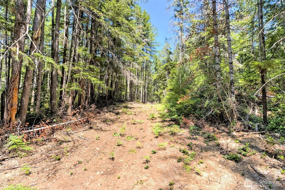 0 NE Eagle Creek Lane Tahuya, WA 98528