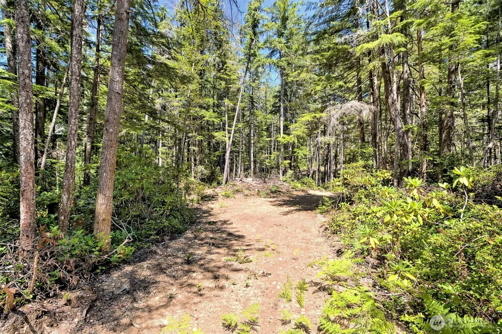 0 NE Eagle Creek Lane Tahuya, WA 98528