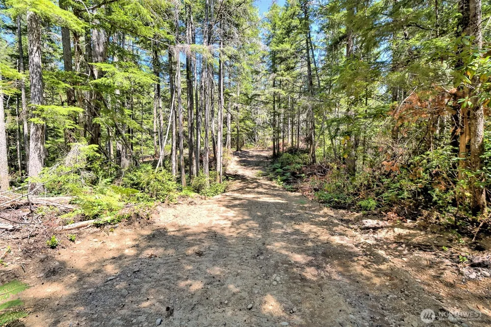0 NE Eagle Creek Lane Tahuya, WA 98528