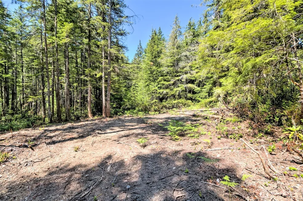 0 NE Eagle Creek Lane Tahuya, WA 98528