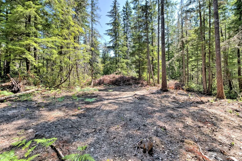 0 NE Eagle Creek Lane Tahuya, WA 98528