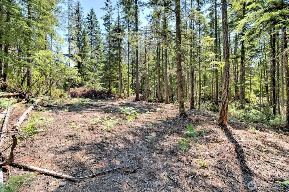 0 NE Eagle Creek Lane Tahuya, WA 98528