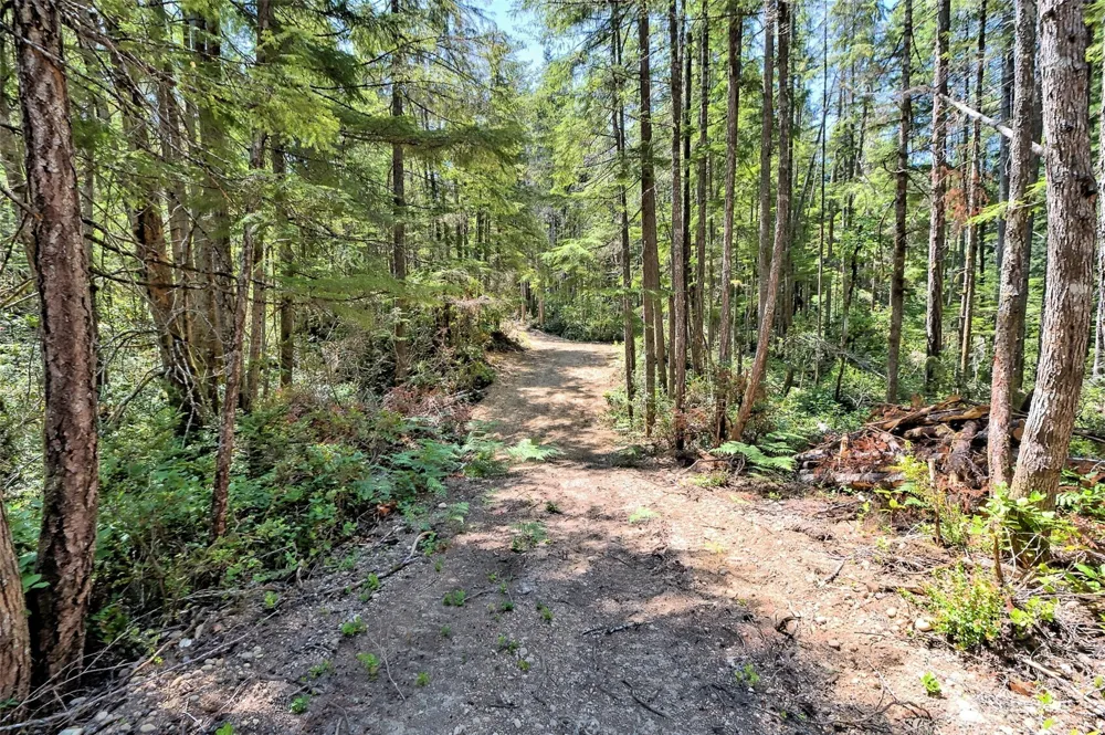 0 NE Eagle Creek Lane Tahuya, WA 98528