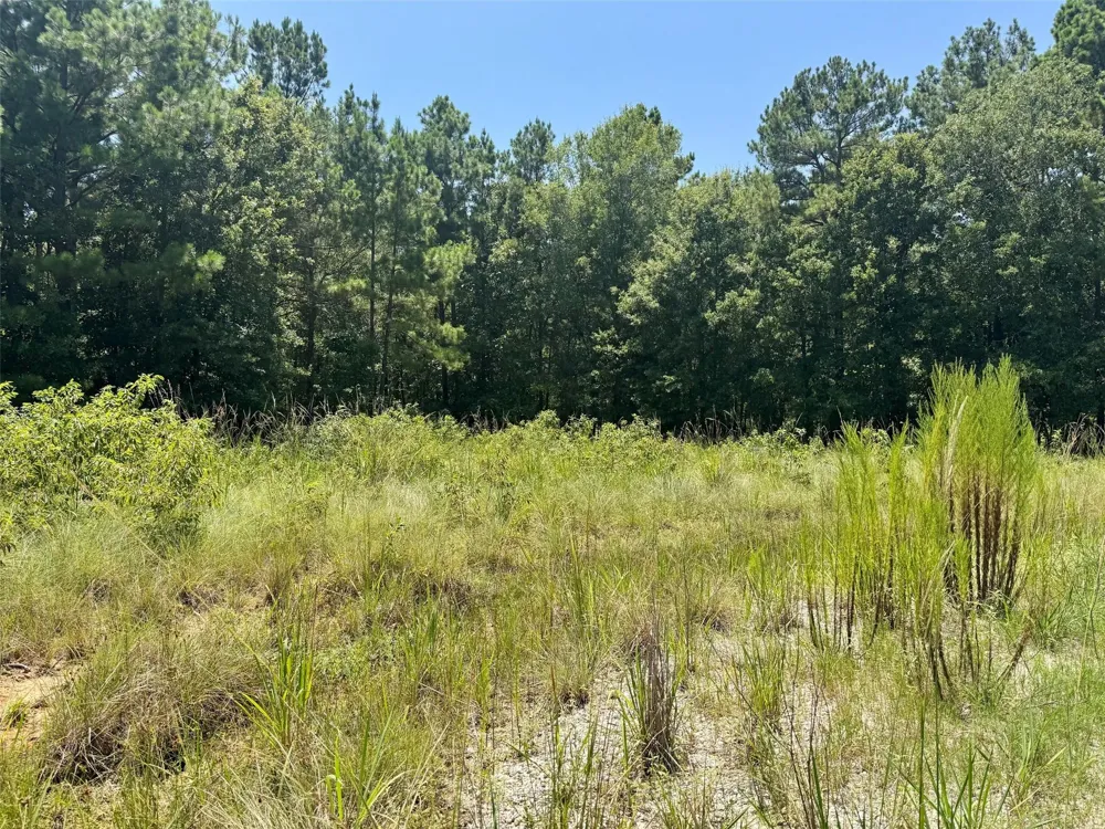 27 Cr 1105 Kennard, TX 75847