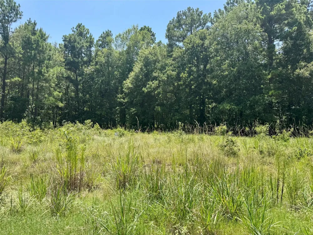 27 Cr 1105 Kennard, TX 75847