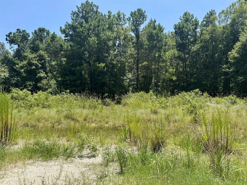 27 Cr 1105 Kennard, TX 75847