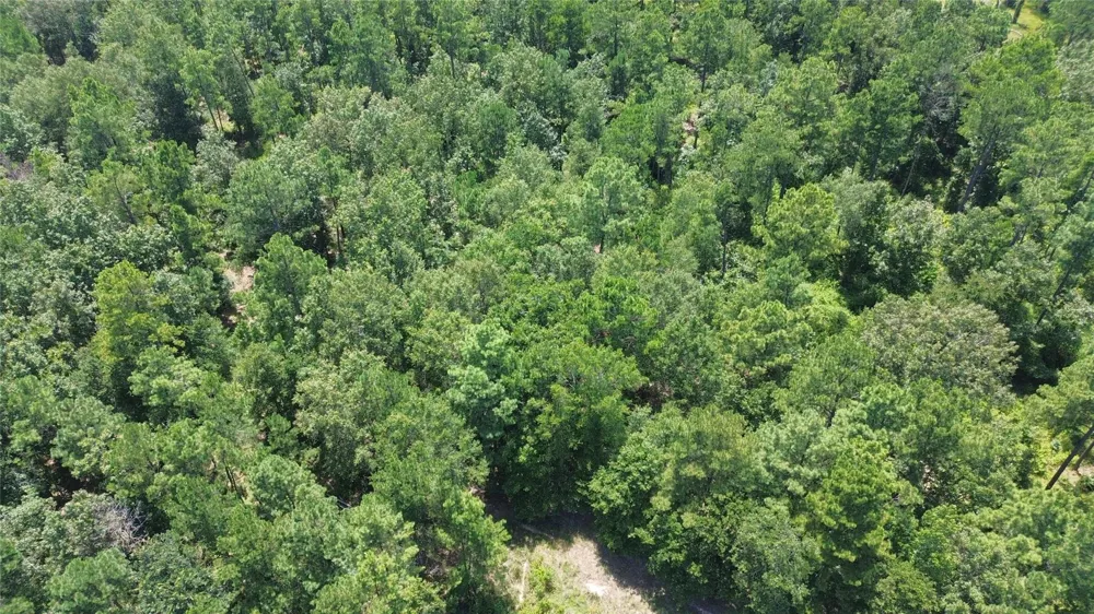 27 Cr 1105 Kennard, TX 75847