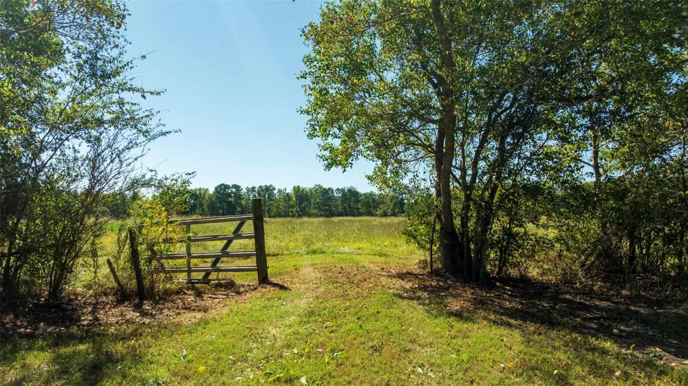 419 Marshall Ivy Road Huntington, TX 75949