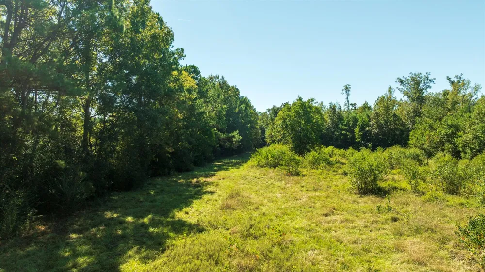 419 Marshall Ivy Road Huntington, TX 75949