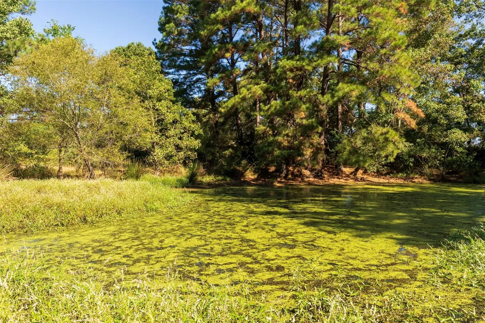 419 Marshall Ivy Road Huntington, TX 75949