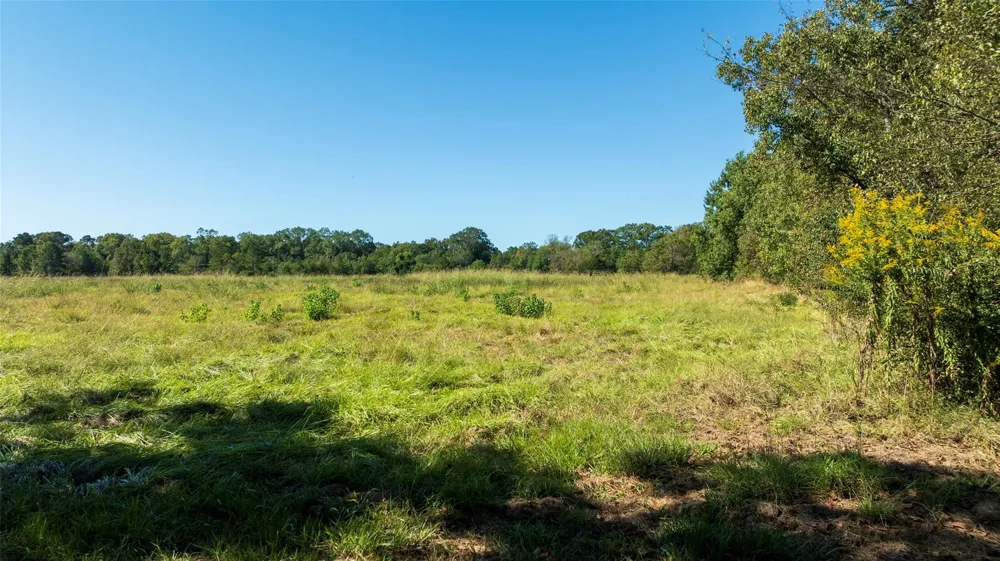 419 Marshall Ivy Road Huntington, TX 75949
