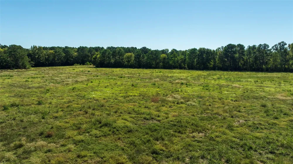 419 Marshall Ivy Road Huntington, TX 75949