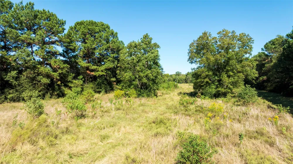 419 Marshall Ivy Road Huntington, TX 75949