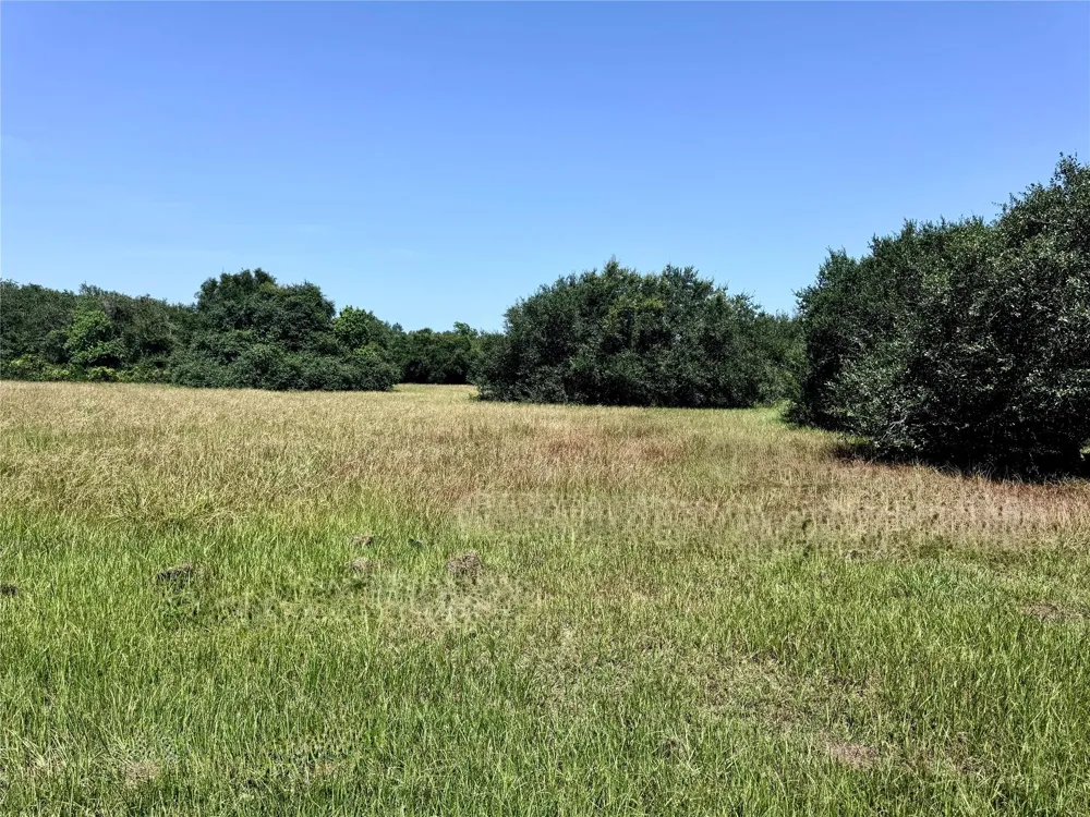 3 Center Tree Drive Drive Palacios, TX 77465