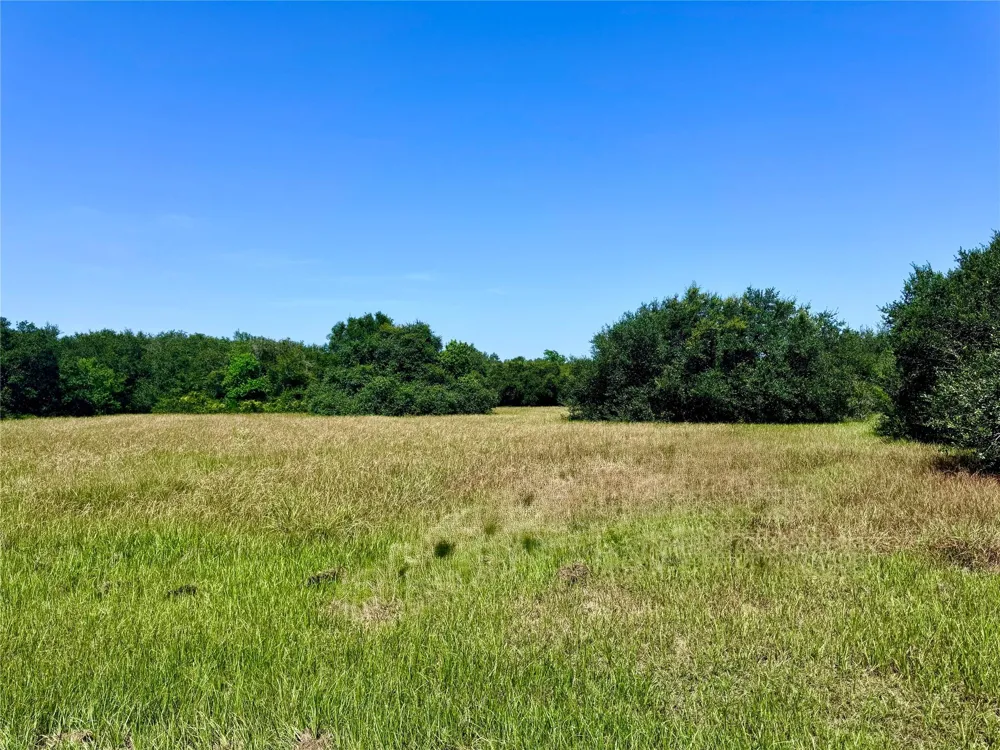 3 Center Tree Drive Drive Palacios, TX 77465