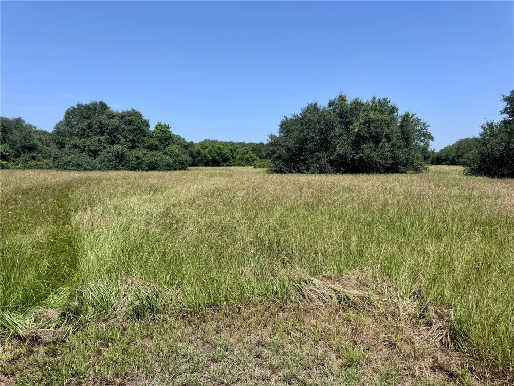 3 Center Tree Drive Drive Palacios, TX 77465