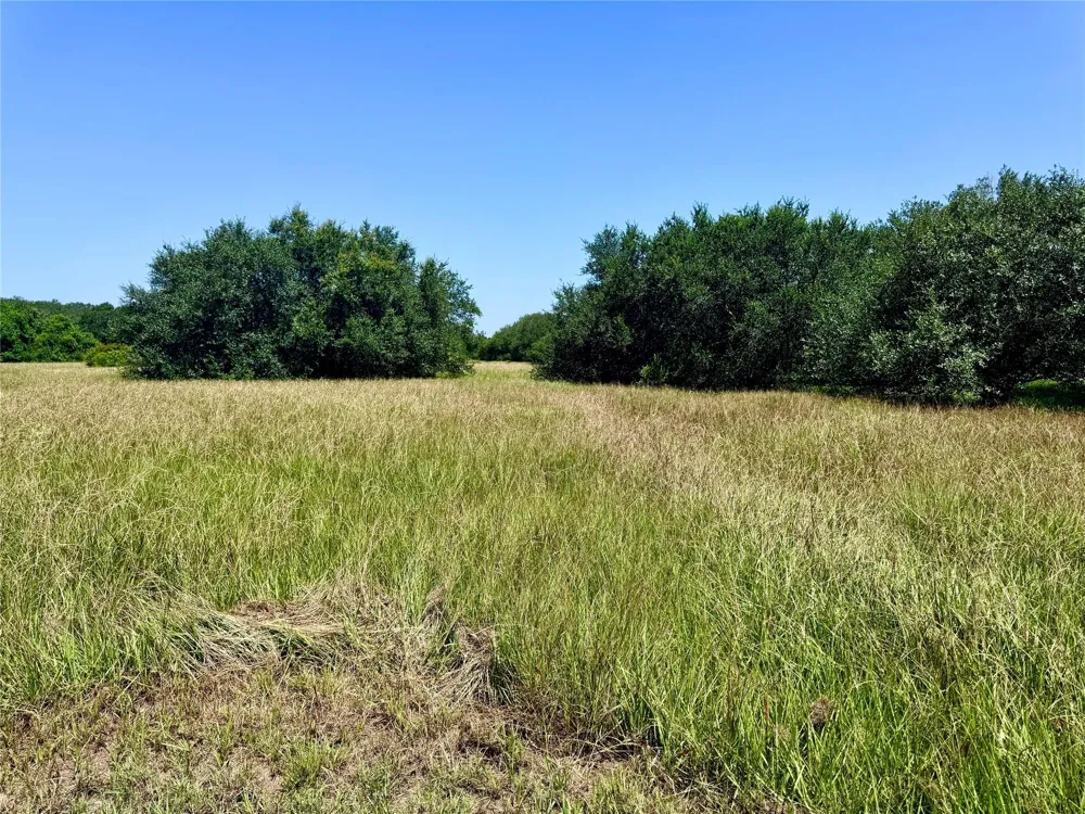 3 Center Tree Drive Drive Palacios, TX 77465