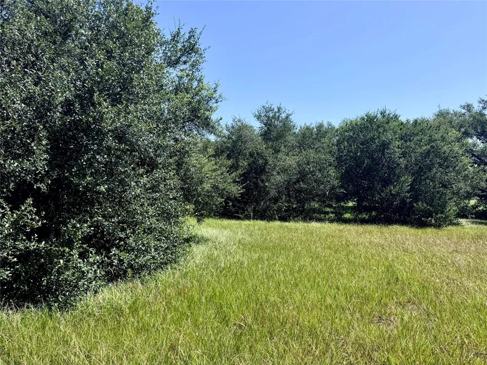 3 Center Tree Drive Drive Palacios, TX 77465