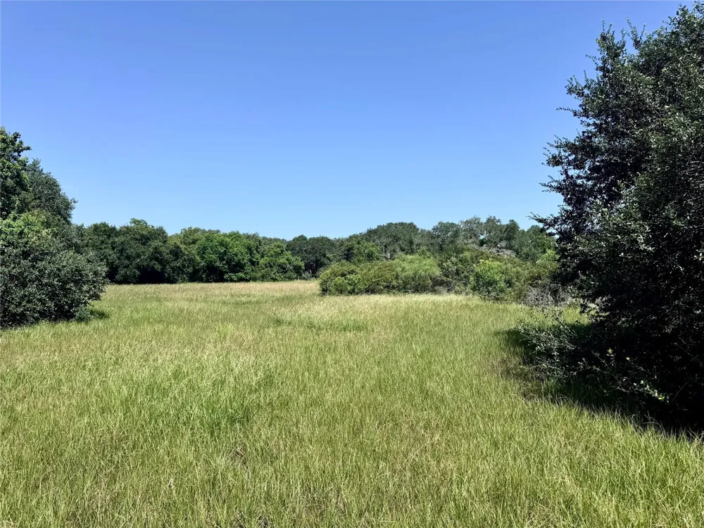 3 Center Tree Drive Drive Palacios, TX 77465