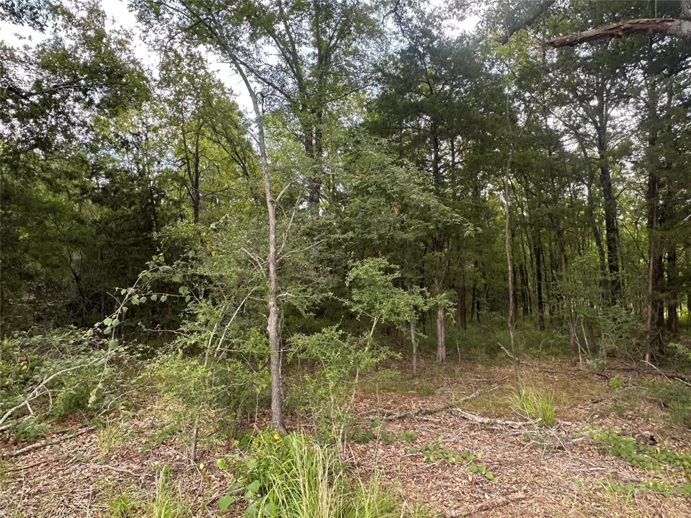 1 Fm 489 Buffalo, TX 75831