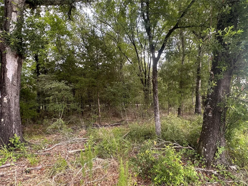 1 Fm 489 Buffalo, TX 75831