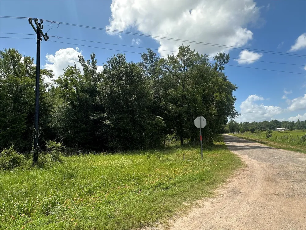 1 Fm 489 Buffalo, TX 75831