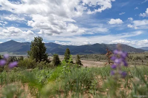 475 Cliff View Drive