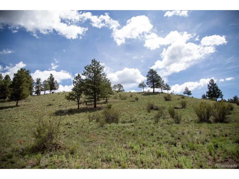 Address Not Shown Creede, CO 81130