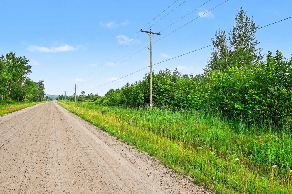 Potter Road Bear Lake, MI 49614