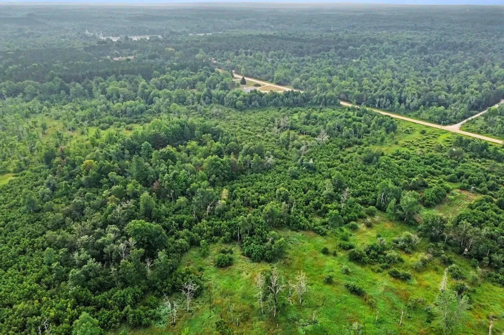 Potter Road Bear Lake, MI 49614