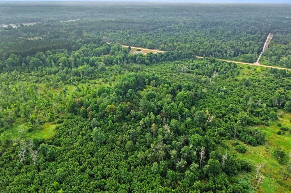 Potter Road Bear Lake, MI 49614